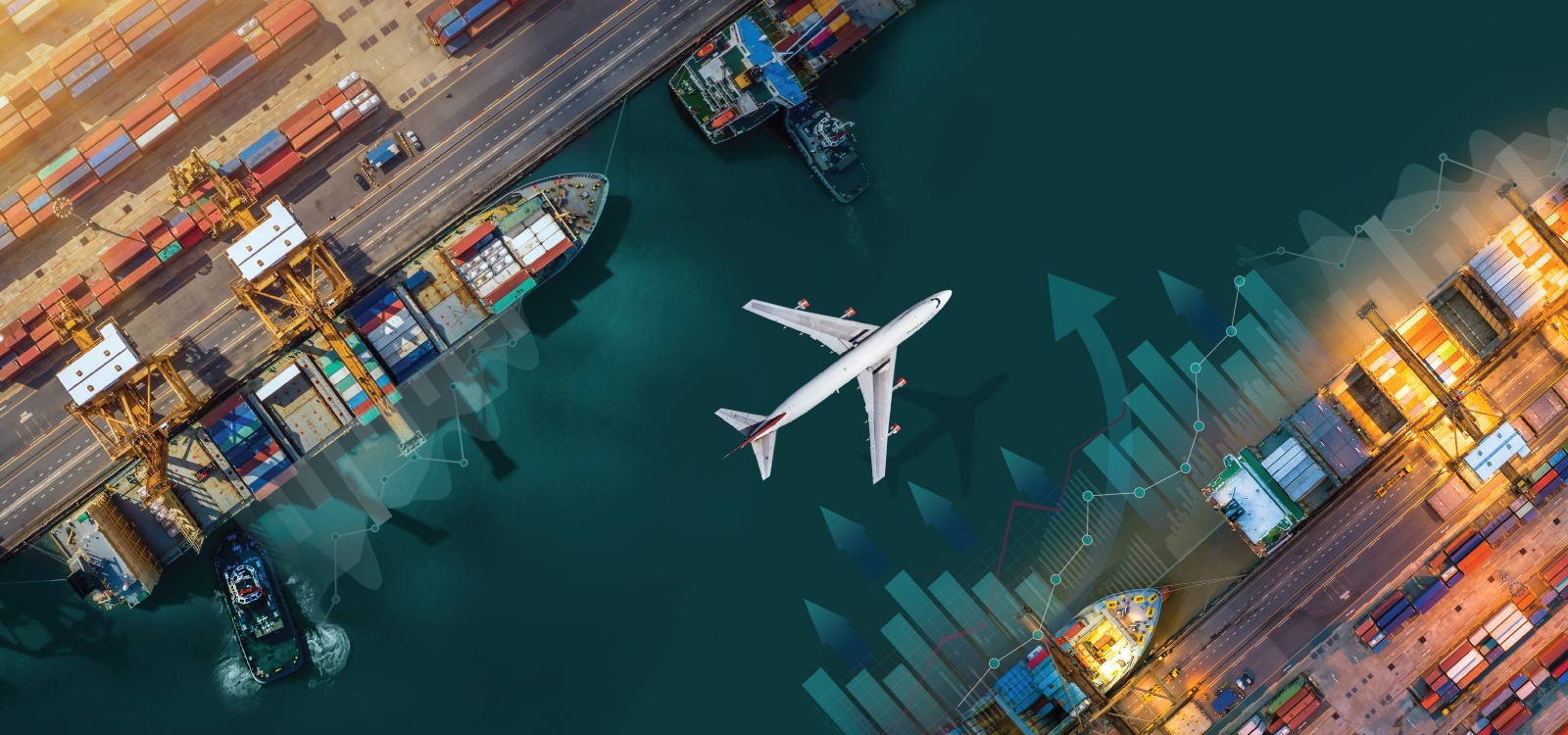 portfolio-6-1140x760